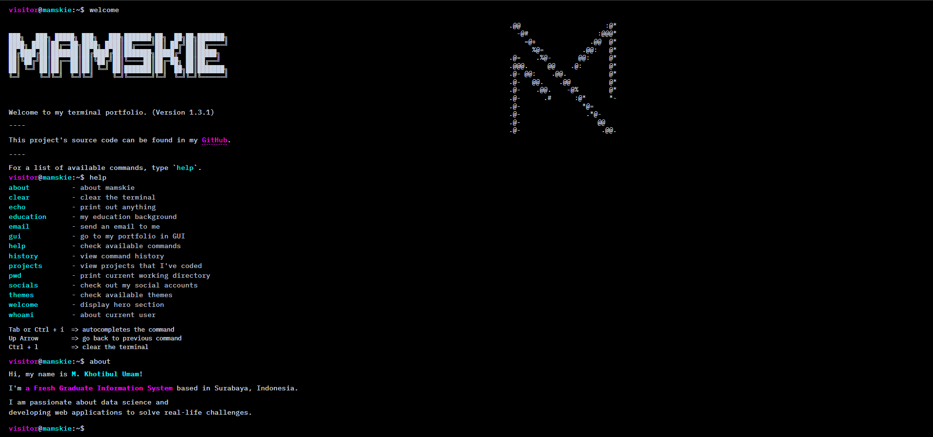 Terminal Portfolio