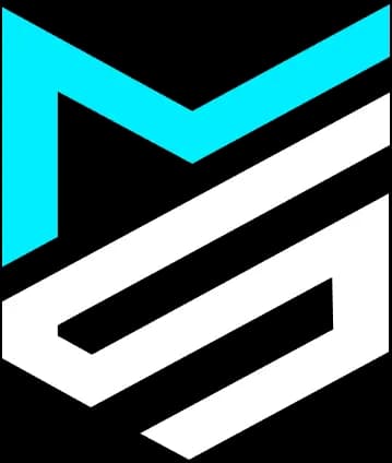 Logo Overlay